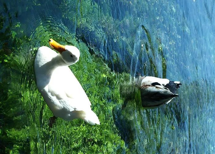 Portofino Hotel Akyaka (Mugla)